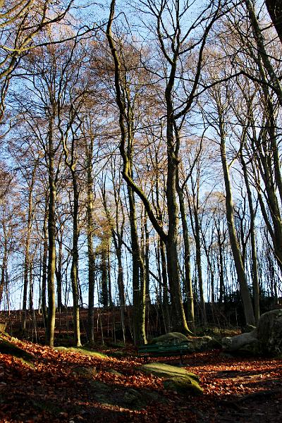 DAG 3 - 14-8-2017_ (152).JPG